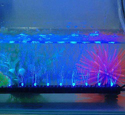 LED水底燈使用時，需要注意哪些事項(圖1)